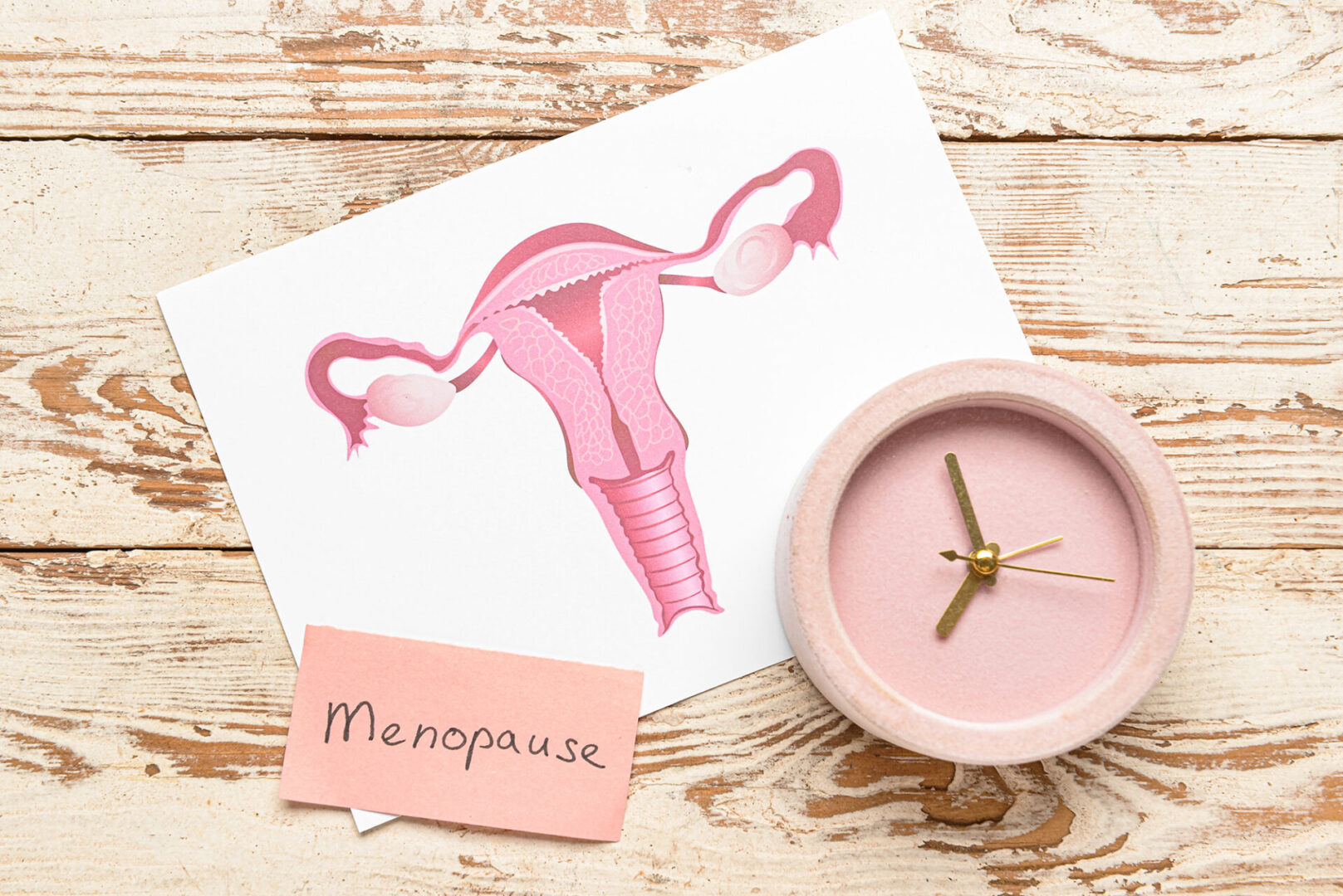 Papers with word MENOPAUSE, uterus and alarm clock on light wooden background